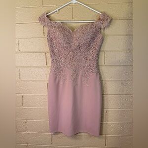 Elegant Pink Lace Dress
